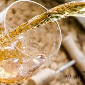 6 false myths about white wine